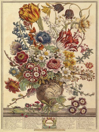 Mars, des Douze Mois de Fleurs par Robert Furber (c.1674-1756) gravé par Henry Fletcher (gravure en couleur) - Pieter after Casteels